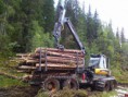 /album/fotogalleri-skogsdrift/a12065991-1040865799277280-8096191594421223546-n-jpg/