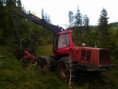 /album/fotogalleri-skogsdrift/a12074599-1040865742610619-4662651373846984187-n-jpg/