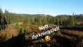 /album/fotogalleri-nydyrking/snapchat-8562925562936195532-jpg/